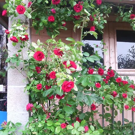 ベッド・アンド・ブレックファスト Au Ronfleur バニエール・ド・ビゴール