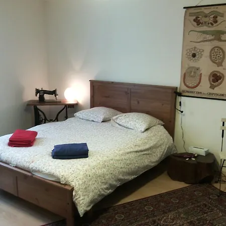 ベッド・アンド・ブレックファスト Au Ronfleur 2*