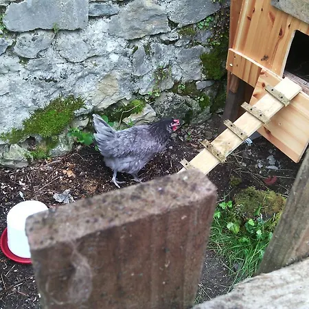 ベッド・アンド・ブレックファスト Au Ronfleur 2*